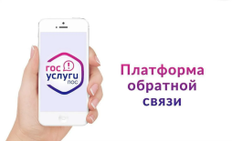 https://pos.gosuslugi.ru/